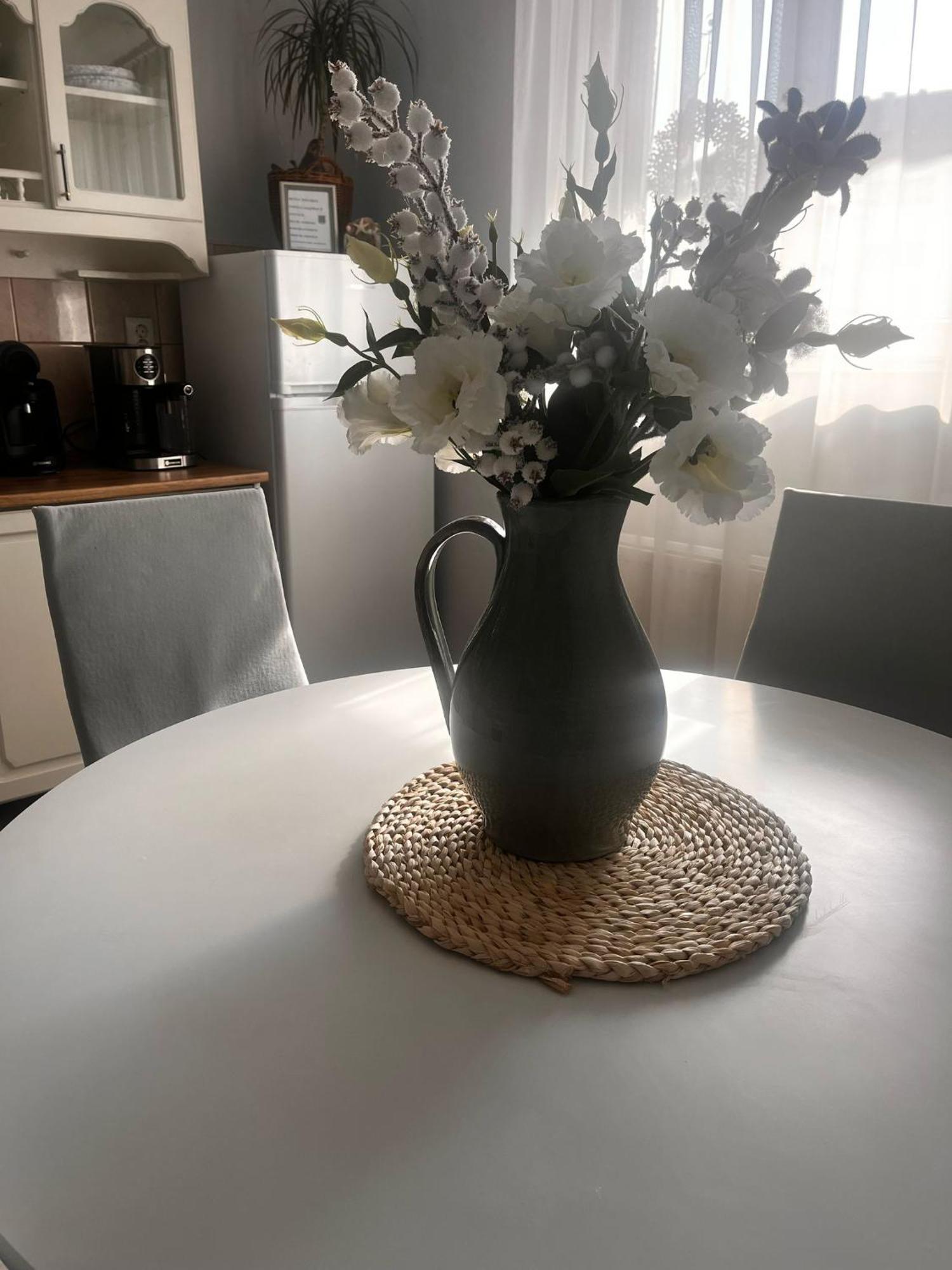 Ingrid Apartment Ocna Mures